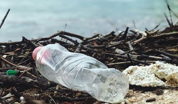 plastic bottles waste on ground