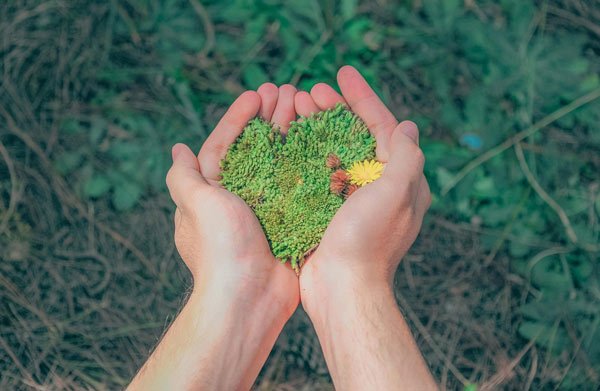 hands holding green grass